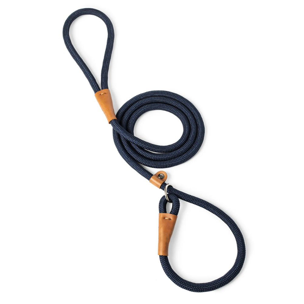 Durable nylon dog leash with metal buckle