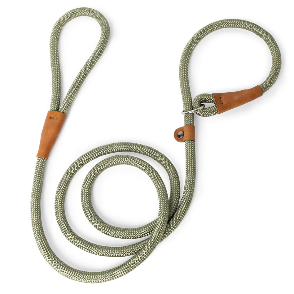 Adjustable 12mm nylon dog leash - durable and comfortable